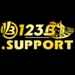 123bsupport