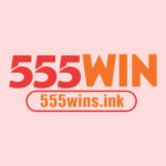 555winsink