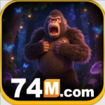 74m org