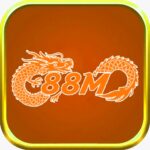 88Minfo