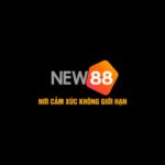 Betnew888com