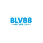Blv88 us