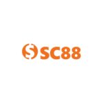 c88seocom2