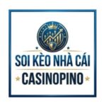 casinopino