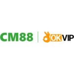 cm88seocom3