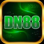 Nh&agrave; c&aacute;i DN88