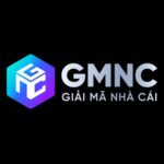 gmncsurf
