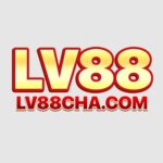 LV88
