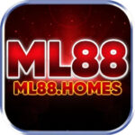 ml88homes