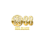 n88black