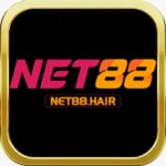 Net88 hair