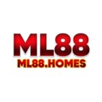 ML88