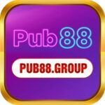 Pub88 Group