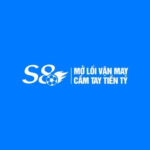 S8s88org