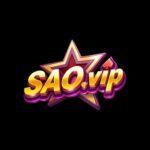 saovipgamess