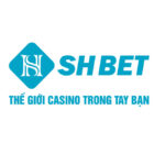 shbethipro