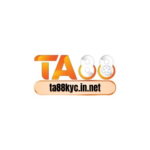 ta88kycinnet
