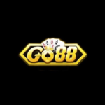 Taigo88meme