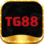 tg88s1com