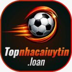 Topnhacaiuytin loan