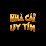 Topnhacaiuytintel