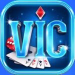 Vicclub