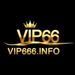 vip66
