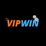 vipwinwork