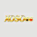 xoso 66cnet