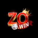 Zowin